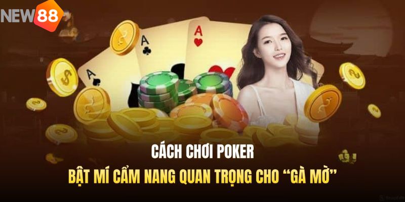Cách Chơi Poker: Bật Mí Cẩm Nang Quan Trọng Cho “Gà Mờ”