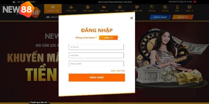 Lý do không thể đăng nhập tài khoản New88